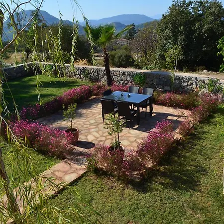 Villa New Age Oleander And Meander